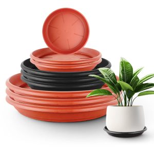 flower pots trays