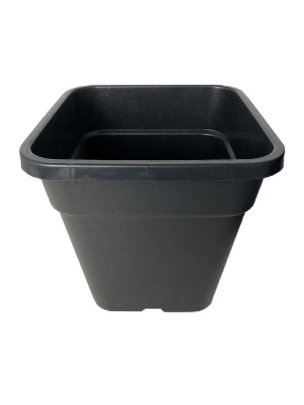 Ronbo Sunrise G003s Square Gallon Pots