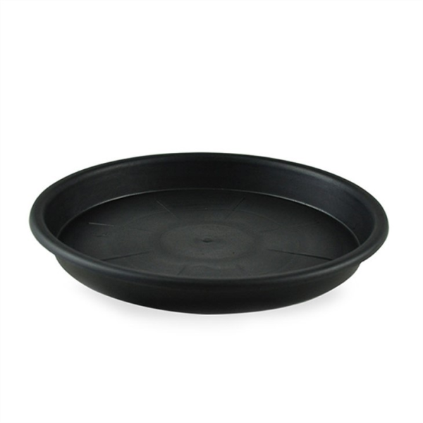 5 Inch Plant Saucer