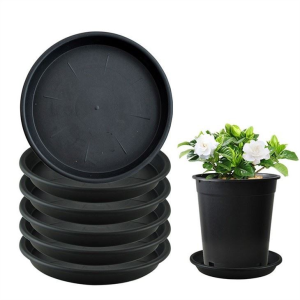 5 Inch Plant Saucer