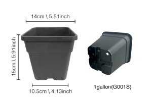 1 gallon pots size