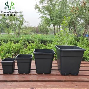 Ronbo Sunrise Square Gallon Pots