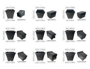 gallon pots size chart