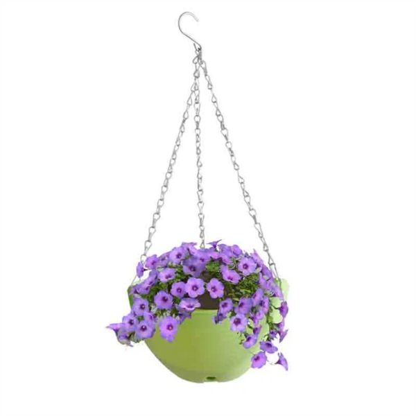 plastic hanging planter